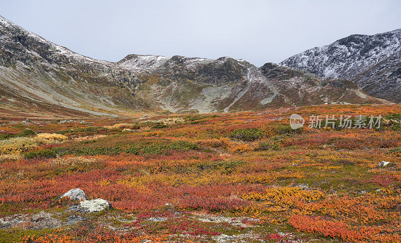 挪威Hemsedal Buskerud的秋季山地平原